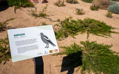 Street Name Interpretive Signs